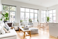 eco-friendly mold remediation for - 1