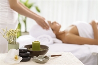 semi-absentee established wellness spa - 1