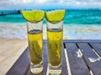 authentic tequila brand-now pouring - 1