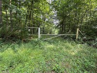 scenic 84 5-acre wooded - 2