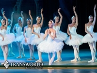 established premier performing arts - 1