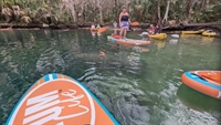 prime weeki wachee waterfront - 3