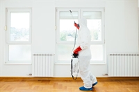 pest control co w - 1