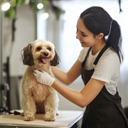 profitable pet grooming opportunity - 1