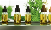 profitable hemp mushroom manufacturing - 1