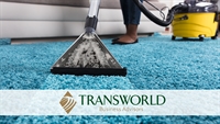 fully operational carpet cleaning - 1