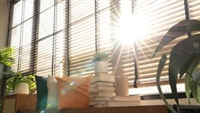 award-winning window treatment company - 1