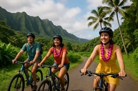established tour operator paradise - 1