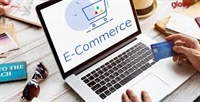 growing niche e-commerce business - 1