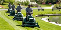 established commercial lawn snow - 1