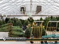 established nursery garden center - 1