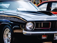 established 3-location automotive paint - 1