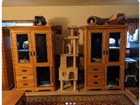 profitable luxury cat boarding - 3