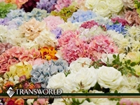 established flower shop online - 1