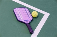 premier all-weather racquet sports - 1