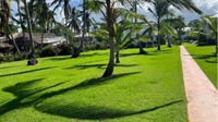 turnkey landscaping outdoor design - 1