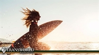 surf skate style-shop for - 1