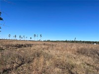 plot of land available - 3