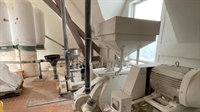 premium flour mill grain - 2