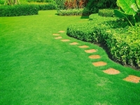 commercial landscape maintenance company - 1