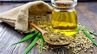 established cbd hemp store - 1