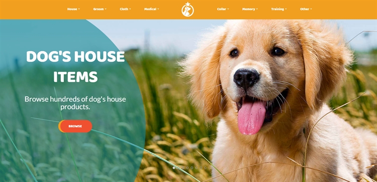 $5,384/m Profitable Online Pet Store