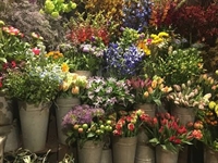 well-established flower shop greater - 1