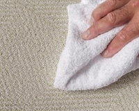 carpet furniture cleaning service - 3