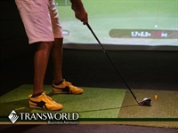 golf racing simulator entertainment - 1