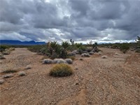 plot of land available - 1