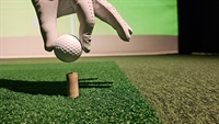 semi-absentee indoor golf simulator - 1