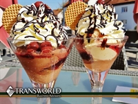 well established ice cream - 1