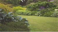 high quality landscaping yard - 1