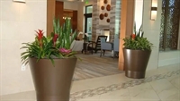 profitable interior plantscape business - 1