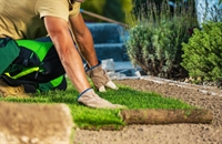 established commercial landscaping business - 1
