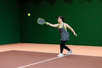 premier climate-controlled indoor pickleball - 1