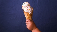 artisan ice cream business - 1