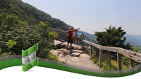 established profitable tour operator - 1