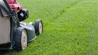 profitable well-established lawn care - 1