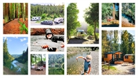 giant redwoods rv cabin - 2