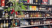 excellent liquor store - 1