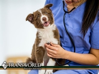 great opportunity mobile vet - 1