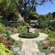 landscape garden maintenance service - 1