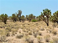 plot of land available - 1