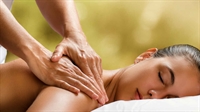semi-absentee massage franchise pittsburgh - 1
