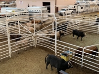 agricultural equipment manufacturer - 1
