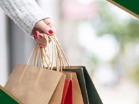 downtown holland profitable retail - 1