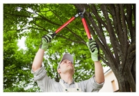 profitable tree care landscaping - 1