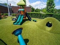 purchase green artificial grass - 3