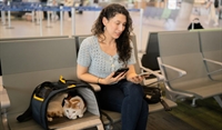 pet relocation specialist business - 1